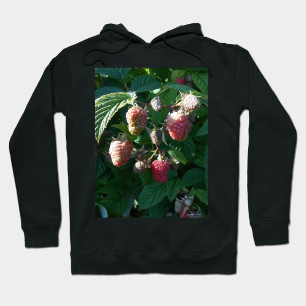 Raspberry Close Up Nature Photography Pacific Northwest Hoodie by starcraft542